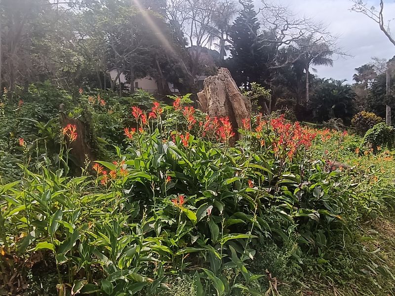 Vacant land for sale - Photo 6