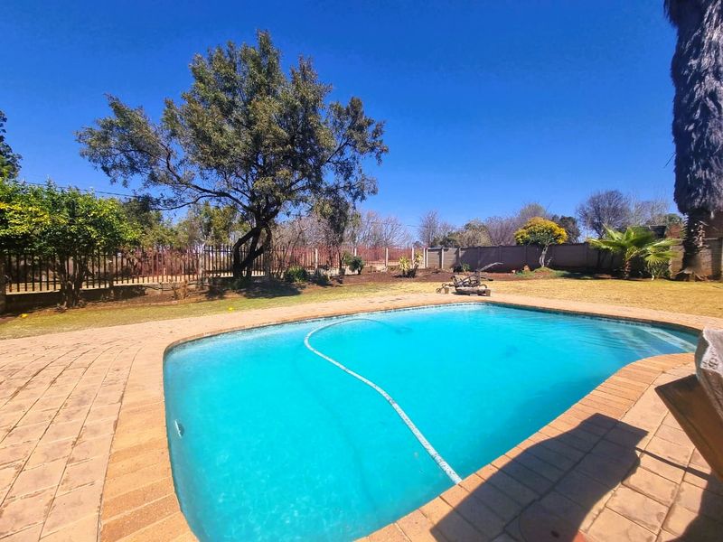 A backyard swimming pool featuring a paved surround, perimeter wall, and established garden area under a clear blue sky.