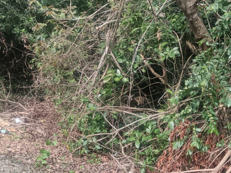 Vacant land for sale in Ramsgate - Photo 1