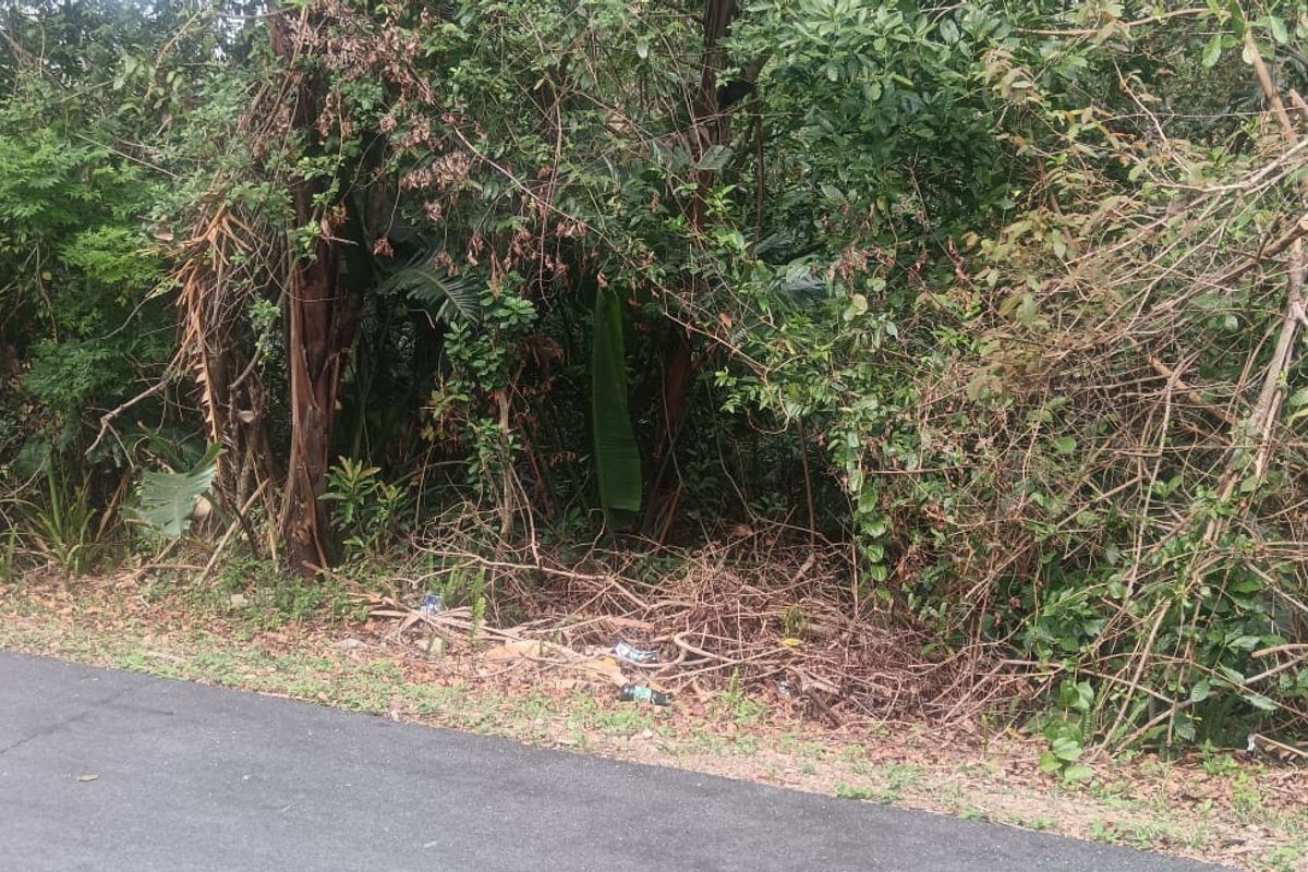 Vacant land for sale in Ramsgate - Photo 4