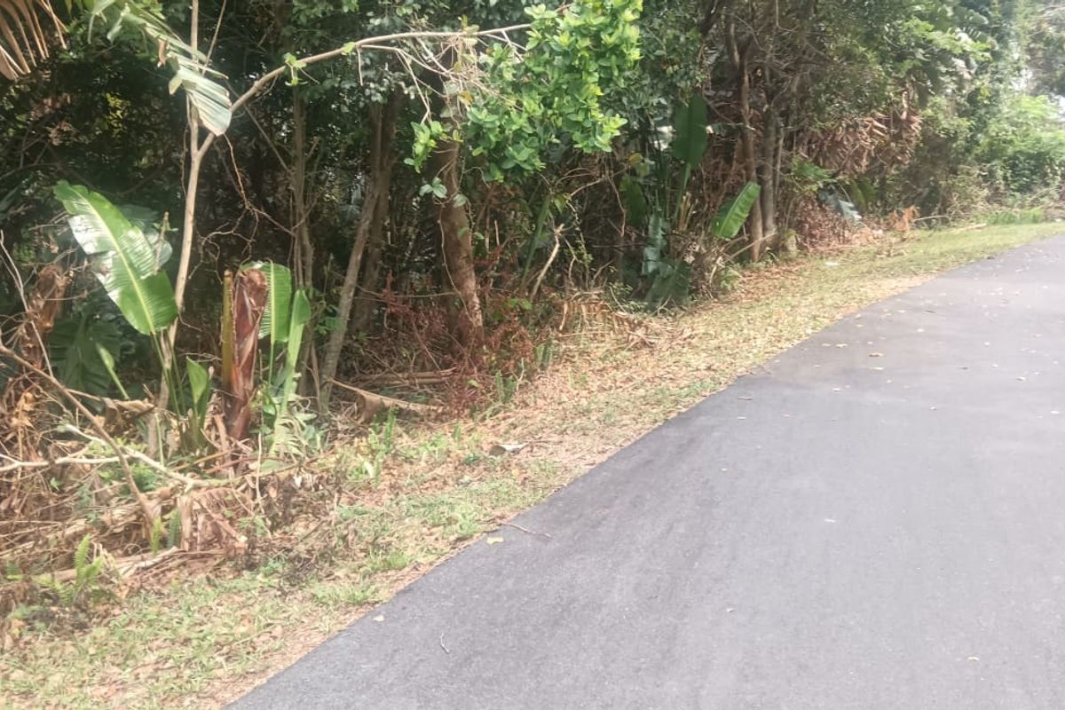 Vacant land for sale in Ramsgate - Photo 2
