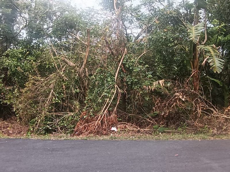 Vacant land for sale in Ramsgate - Photo 3