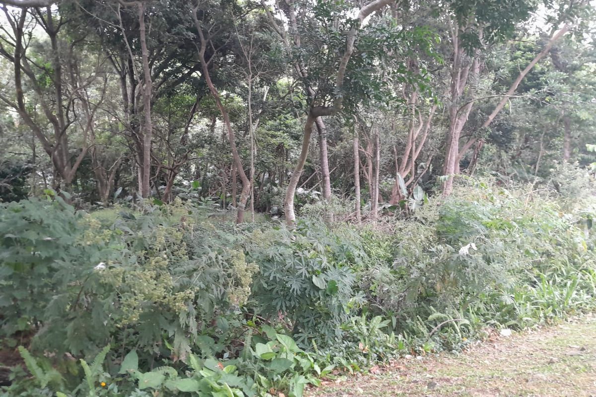 Vacant Land Residential For Sale In Margate - Photo 3