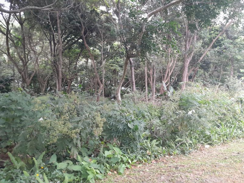 Vacant Land Residential For Sale In Margate - Photo 3