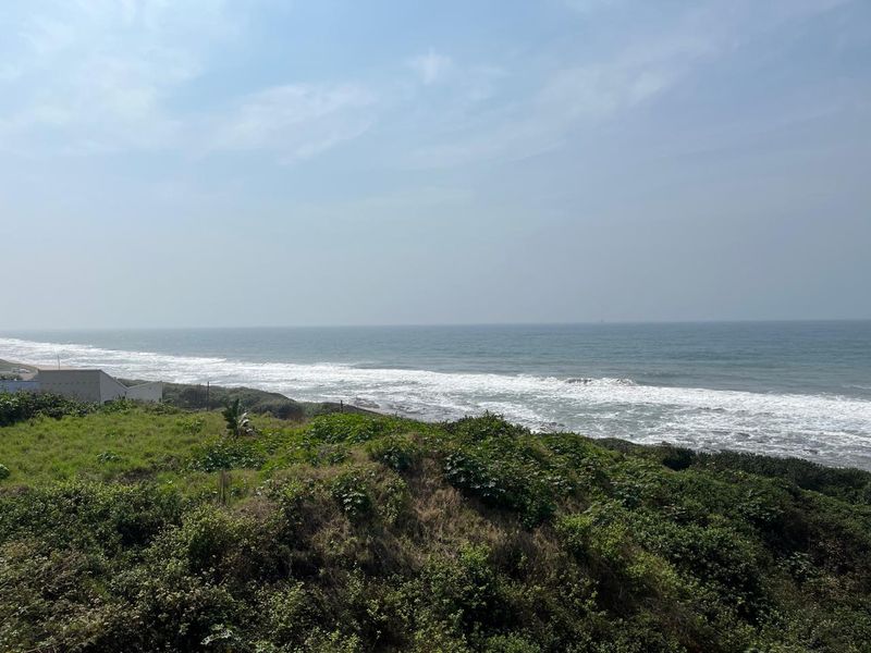 A scenic coastal view overlooking the ocean and natural vegetation.