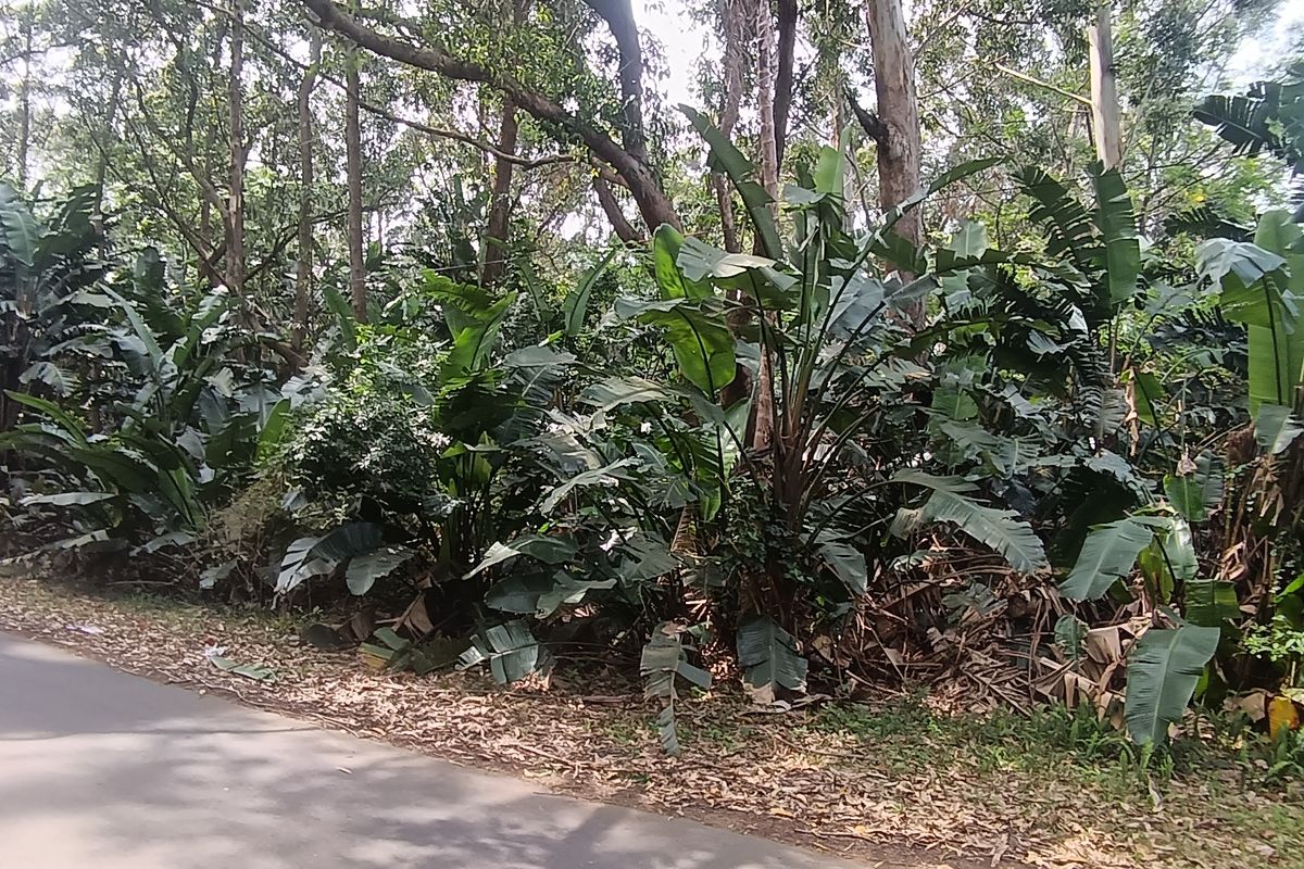 Walk to the Beach in Leisure Bay! - Photo 4