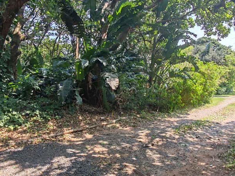 Prime Vacant land for sale in Leisure bay - Photo 7