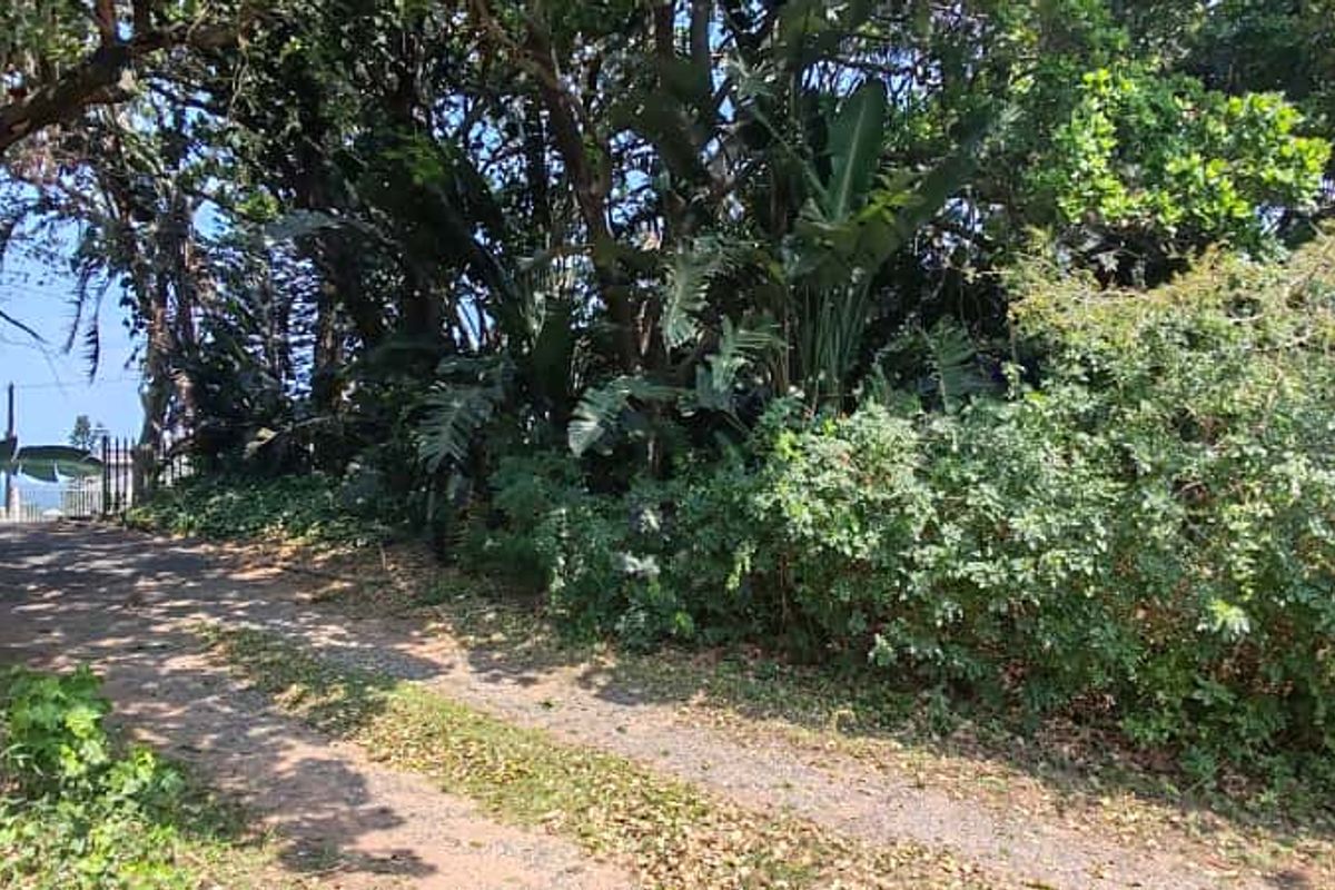 Prime Vacant land for sale in Leisure bay - Photo 3