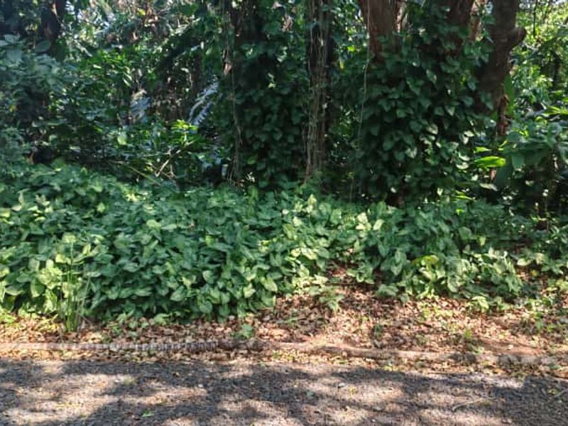 Prime Vacant land for sale in Leisure bay - Photo 10