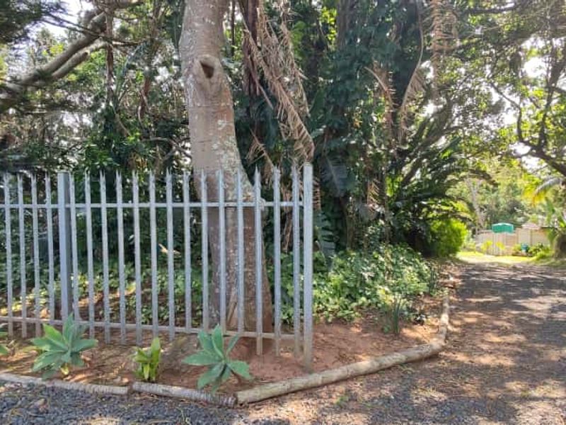 Prime Vacant land for sale in Leisure bay - Photo 9