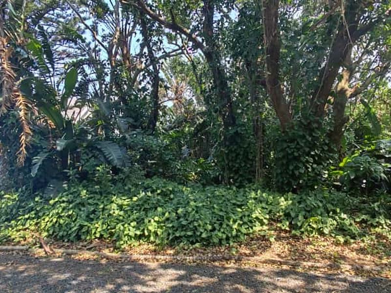 Prime Vacant land for sale in Leisure bay - Photo 8
