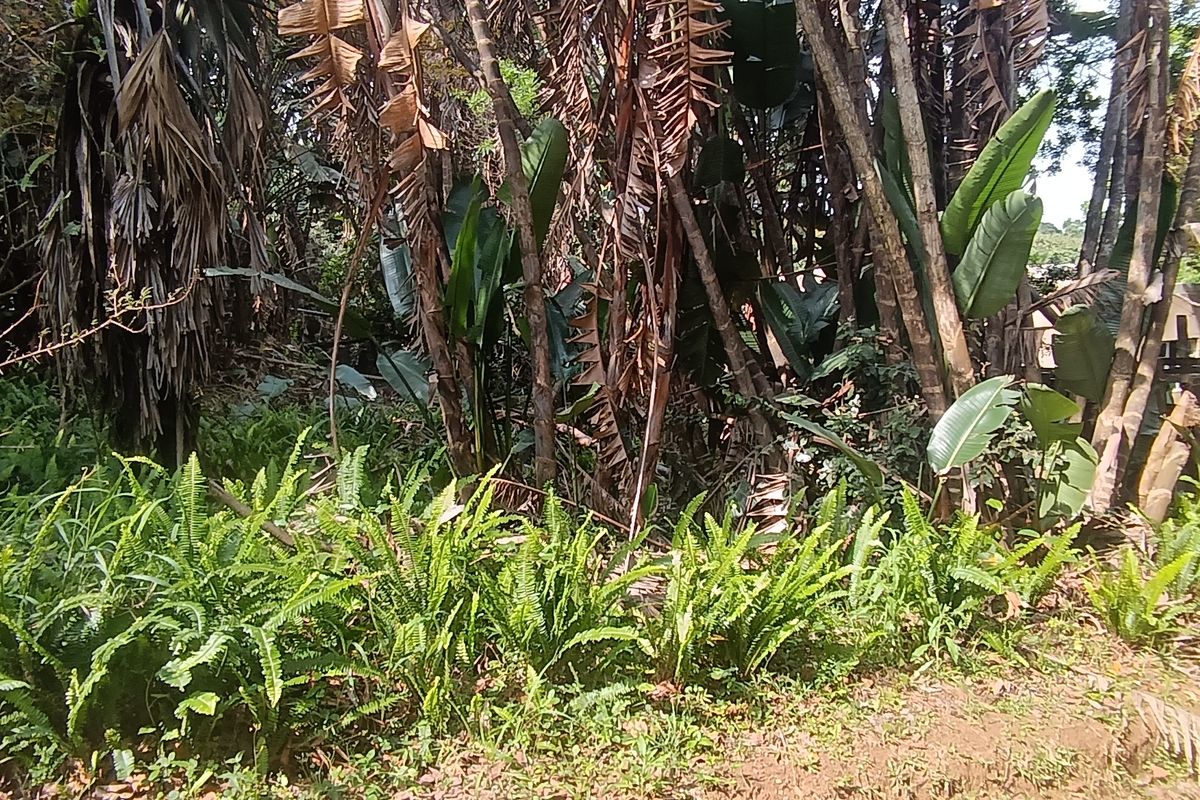 Bargain Vacant land in Leisure Bay awaits you.!!!!!!!!! - Photo 4