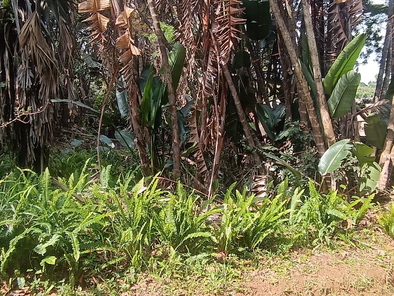 Bargain Vacant land in Leisure Bay awaits you.!!!!!!!!! - Photo 4