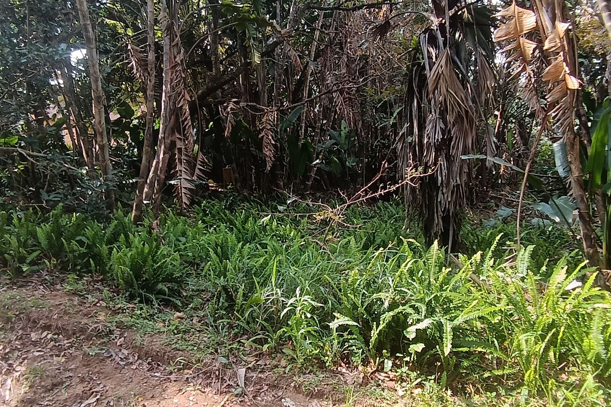Bargain Vacant land in Leisure Bay awaits you.!!!!!!!!! - Photo 3