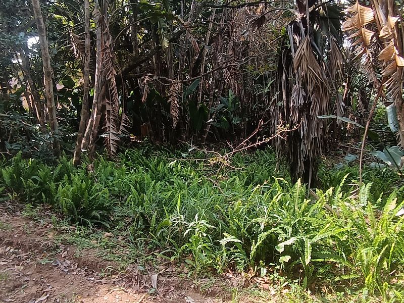 Bargain Vacant land in Leisure Bay awaits you.!!!!!!!!! - Photo 3