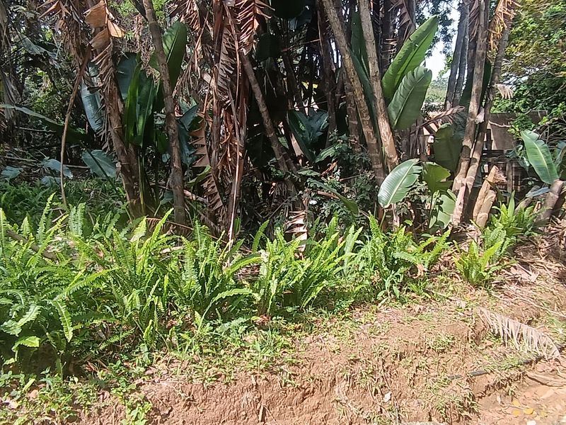 Bargain Vacant land in Leisure Bay awaits you.!!!!!!!!! - Photo 5
