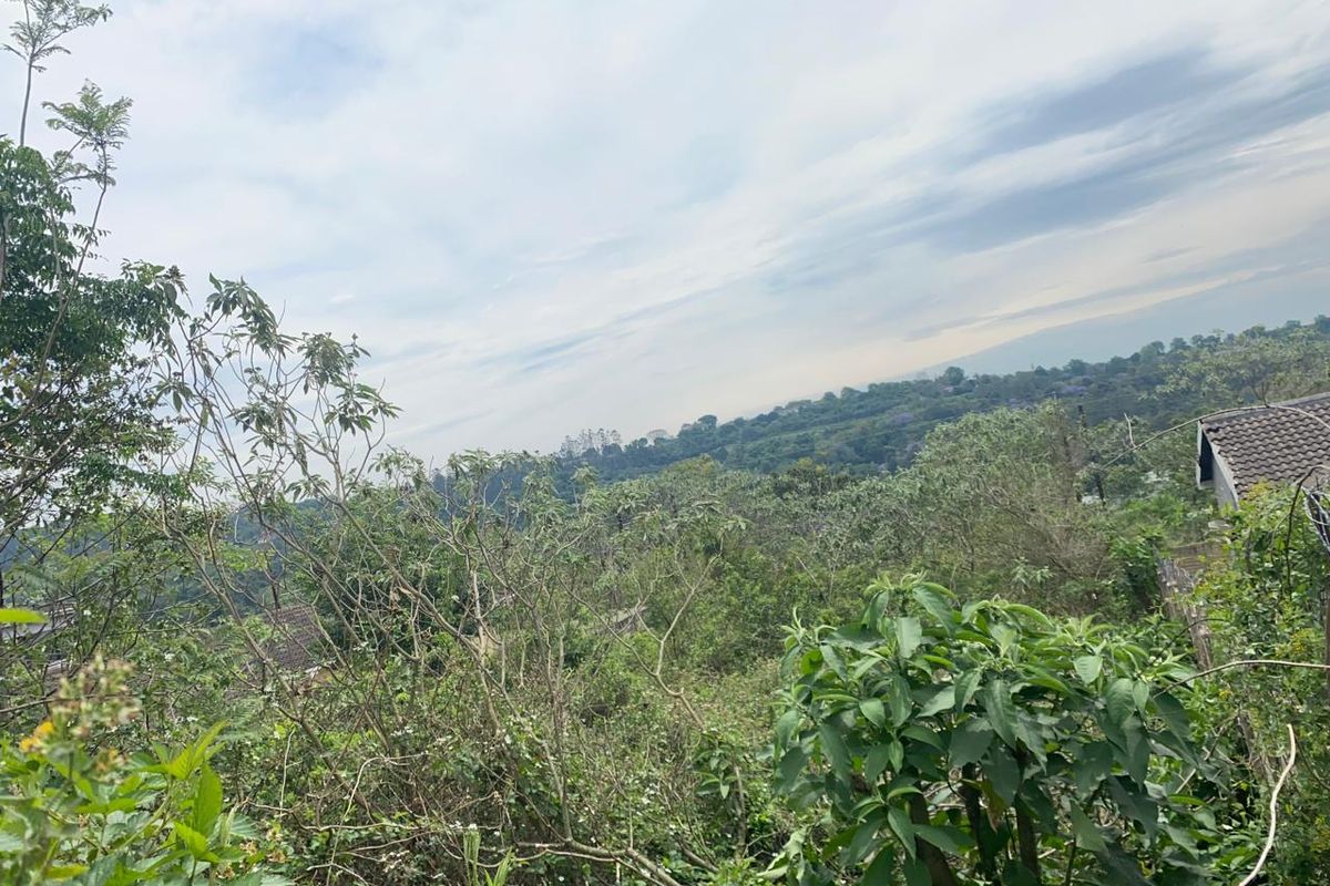 A scenic elevated view overlooking lush green vegetation and surrounding landscape.