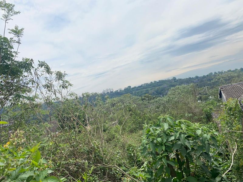 A scenic elevated view overlooking lush green vegetation and surrounding landscape.