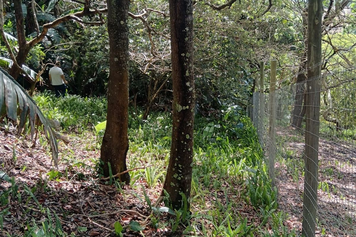 A Developer’s Dream  5430sqm of Prime Southbroom Land - Photo 4