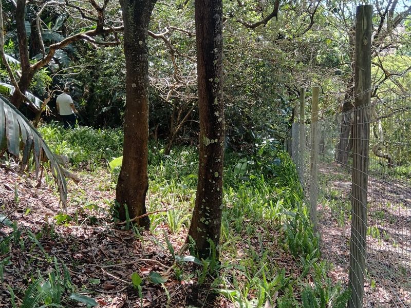 A Developer’s Dream  5430sqm of Prime Southbroom Land - Photo 4