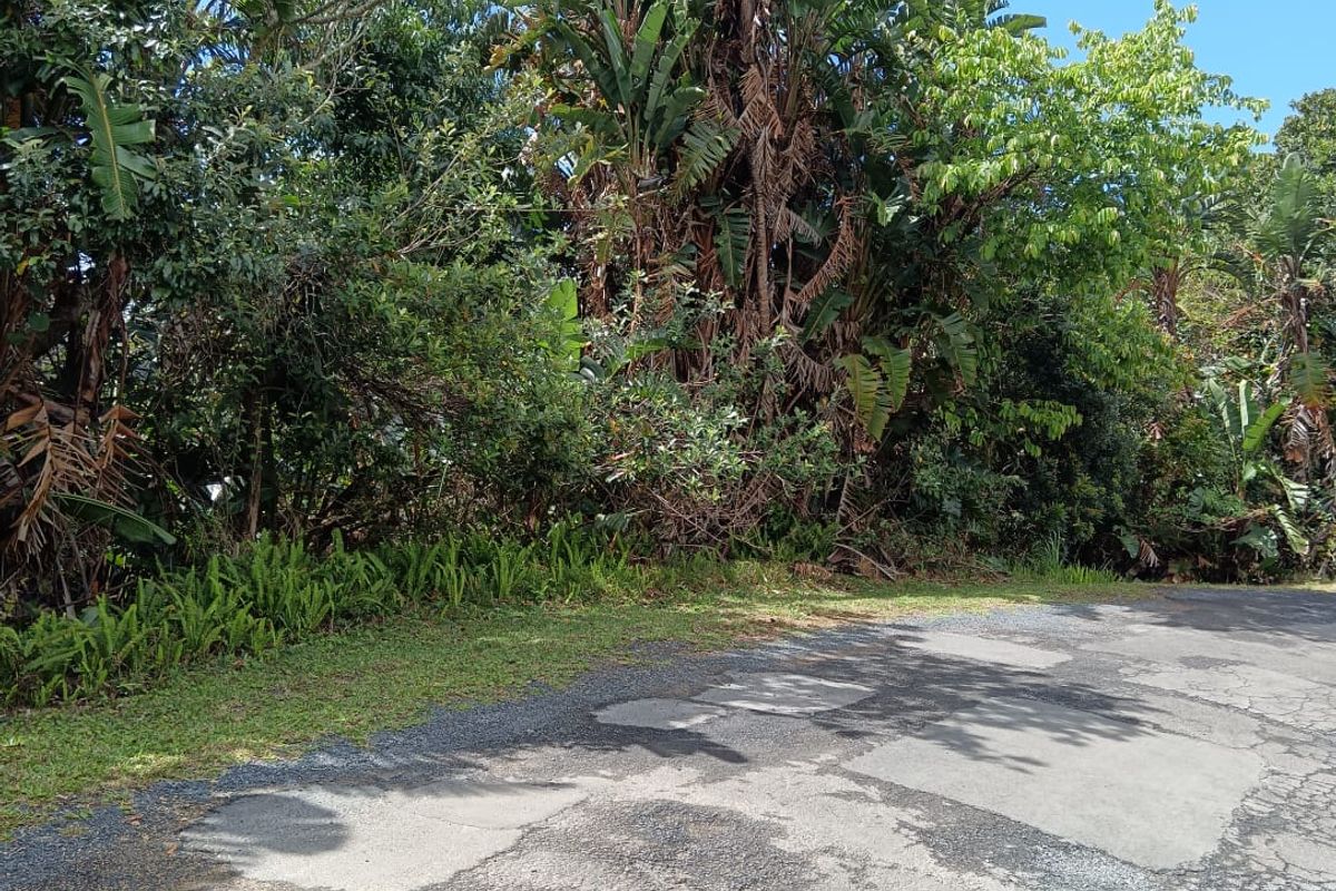 A Developer’s Dream  5430sqm of Prime Southbroom Land - Photo 3