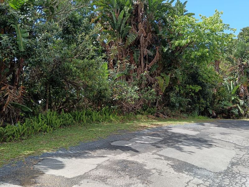 A Developer’s Dream  5430sqm of Prime Southbroom Land - Photo 3