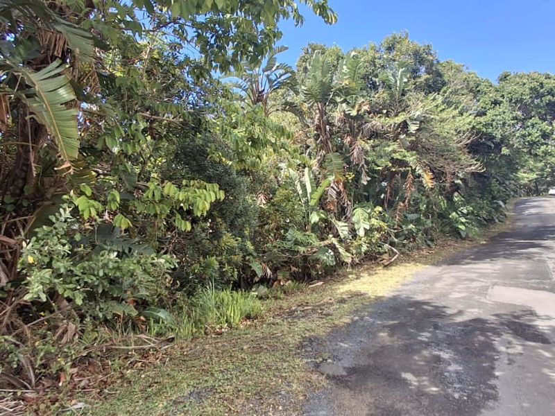 A Developer’s Dream  5430sqm of Prime Southbroom Land - Photo 7