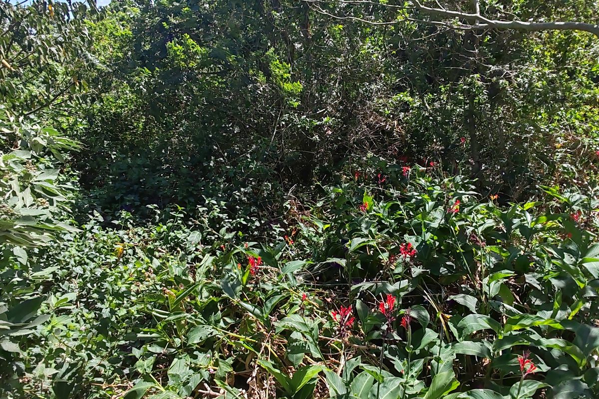 Vacant Land Residential For Sale In Margate - Photo 5