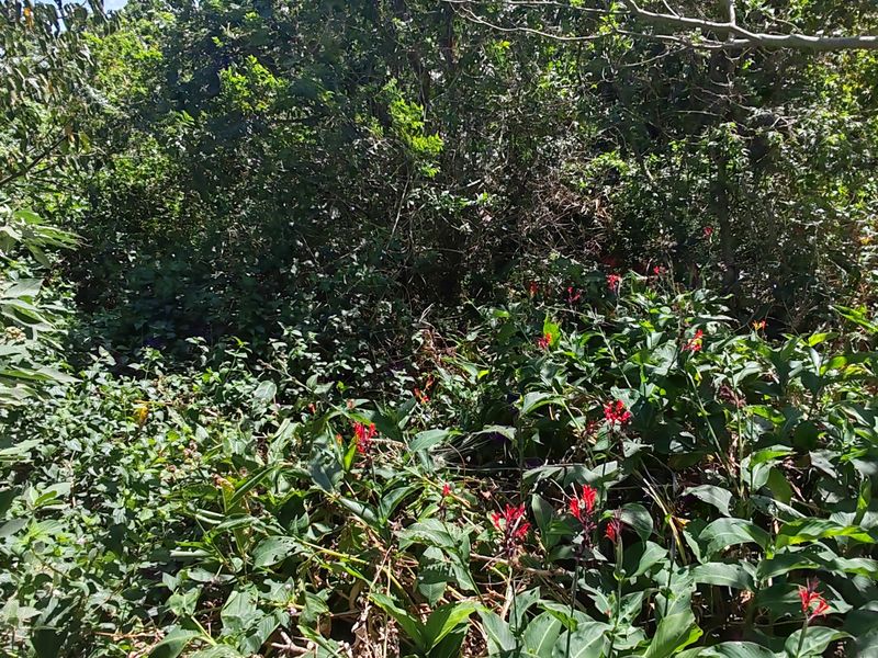 Vacant Land Residential For Sale In Margate - Photo 5