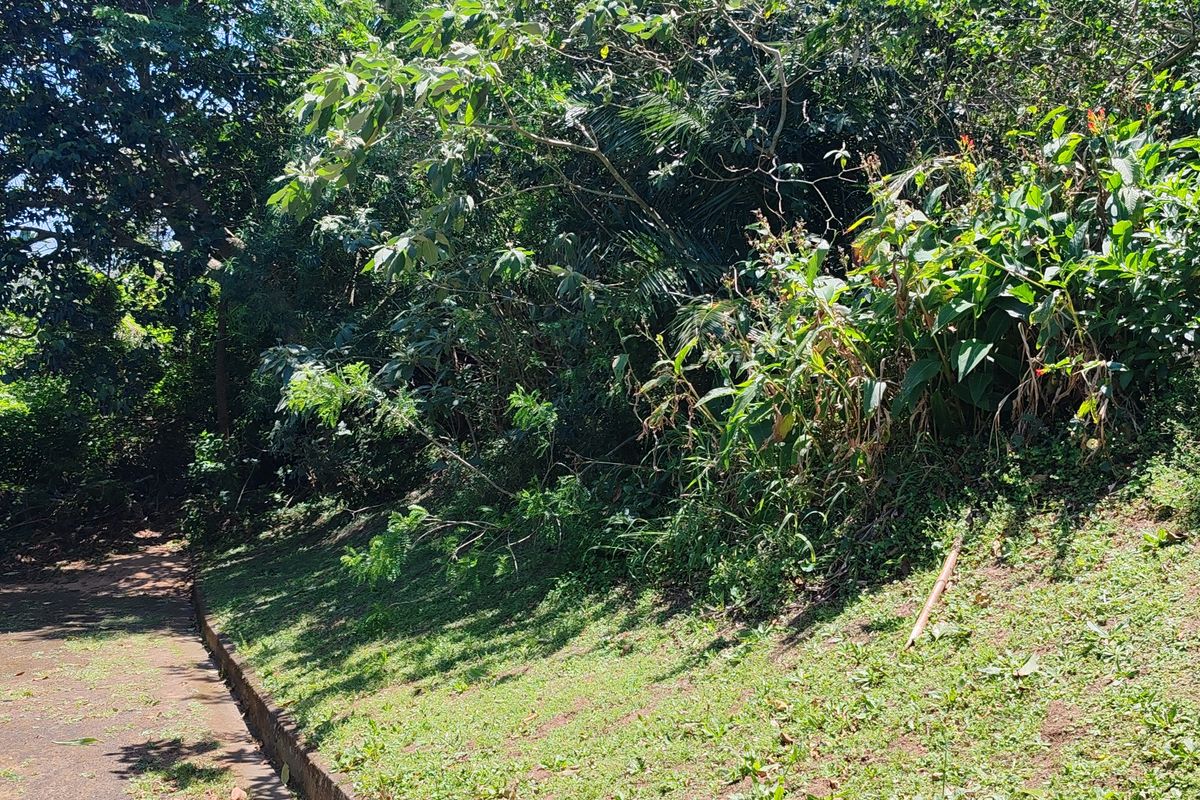 Vacant Land Residential For Sale In Margate - Photo 2