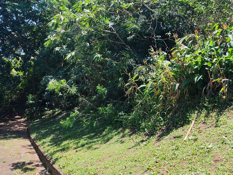 Vacant Land Residential For Sale In Margate - Photo 2