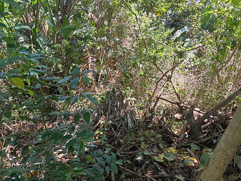 Vacant Land Residential For Sale In Margate - Photo 6