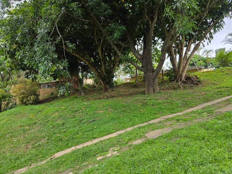 AFFORDABLE HOME - Photo 9