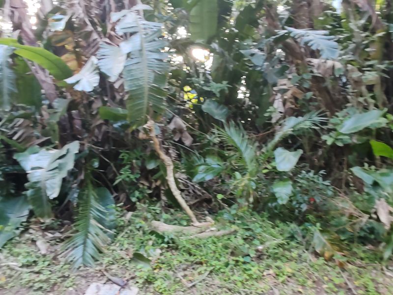 Vacant Level Land for Sale – Leisure Bay - Photo 8