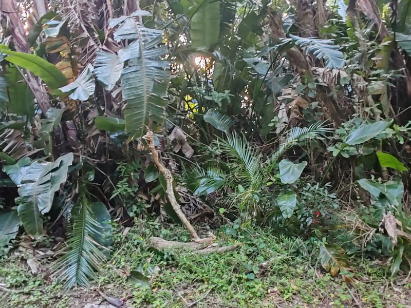 Vacant Level Land for Sale – Leisure Bay - Photo 7