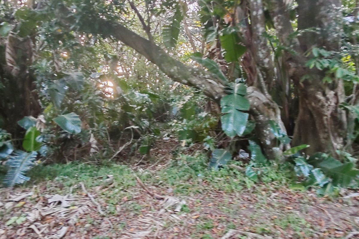 Vacant Level Land for Sale – Leisure Bay - Photo 4