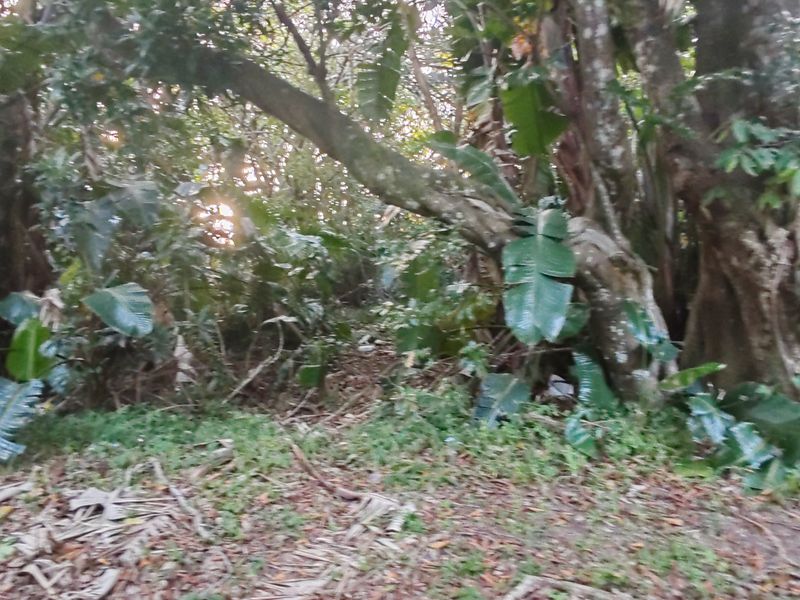 Vacant Level Land for Sale – Leisure Bay - Photo 4