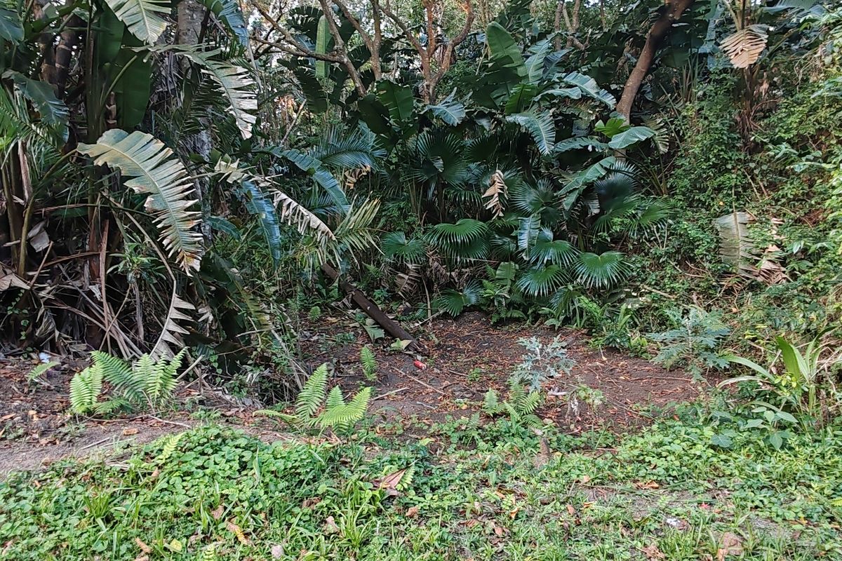 Vacant Level Land for Sale – Leisure Bay - Photo 3