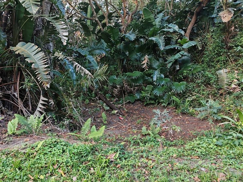 Vacant Level Land for Sale – Leisure Bay - Photo 3