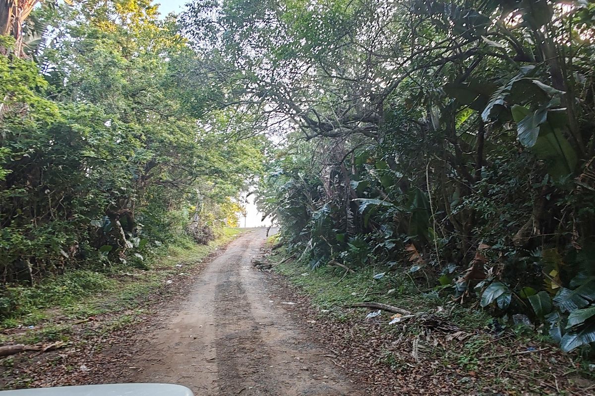 Vacant Level Land for Sale – Leisure Bay - Photo 2