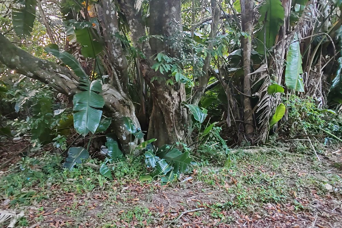 Vacant Level Land for Sale – Leisure Bay - Photo 5