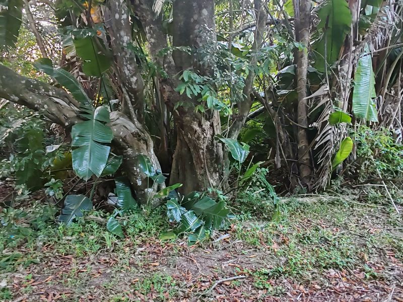 Vacant Level Land for Sale – Leisure Bay - Photo 5