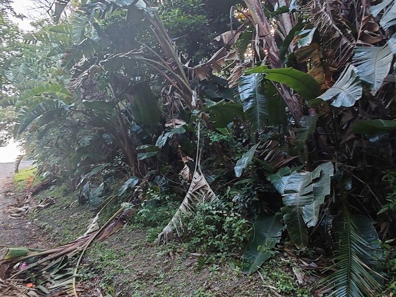 Vacant Level Land for Sale – Leisure Bay - Photo 10