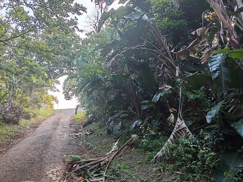 Vacant Level Land for Sale – Leisure Bay - Photo 9