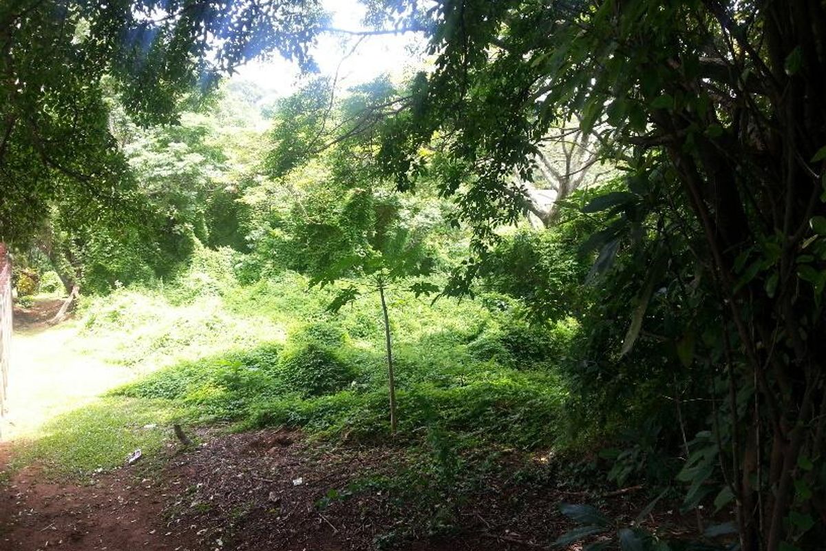 VACANT LAND FOR SALE - Photo 3