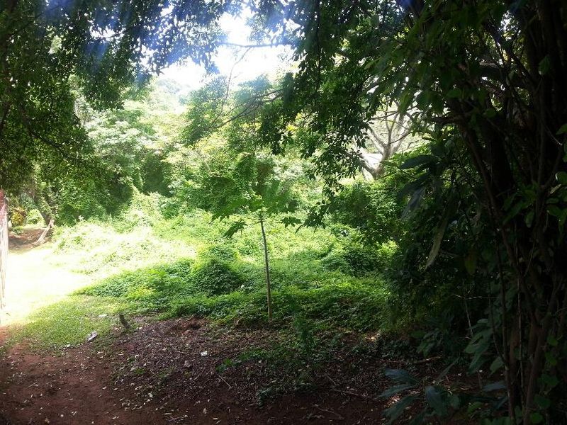 VACANT LAND FOR SALE - Photo 3