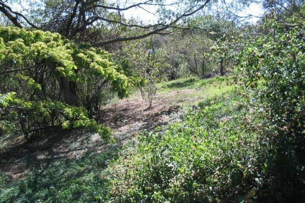 VACANT LAND FOR SALE - Photo 2