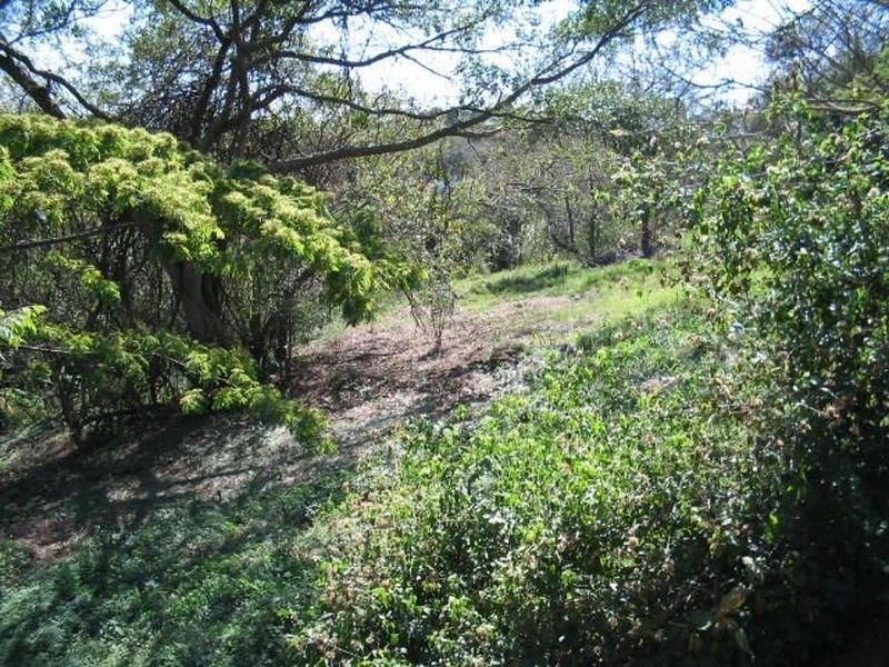 VACANT LAND FOR SALE - Photo 2