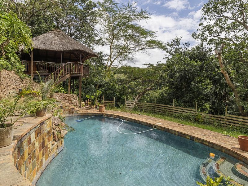 Outdoor pool area featuring a swimming pool, stone retaining wall, and a raised thatched gazebo set within a lush, natural garden environment.