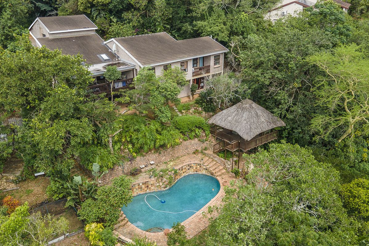 Aerial view of a multi-level house featuring a swimming pool, stone-paved surround, and a detached thatched gazebo nestled in a lush, wooded garden setting.